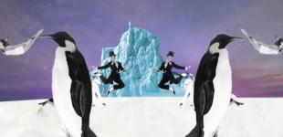 Imagen que muestra a dos pingüinos apuntando a lados opuestos, un iceberg y a dos humanos saltando