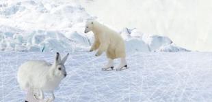 Imagen de un territorio con hielo con un oso polar y conejo patinando 