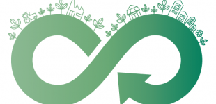 ¿Qué es la economía circular? ¡Reflexiona junto a tu comunidad educativa y mejoremos nuestro entorno!